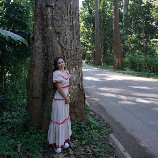 ดอยหลวงเชียงดาว