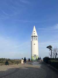 【三浦海岸】海と河津桜