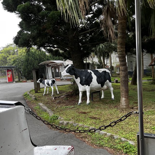 埔心牧場 餵食之旅 埔心牧場 餵食之旅