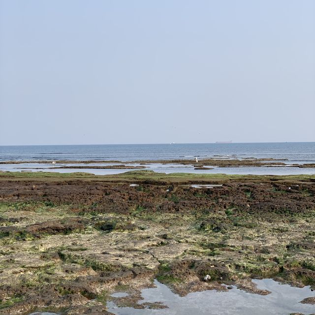 제주 광치기해변