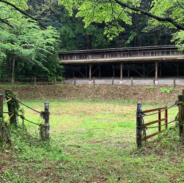 隠岐の島　闘牛場