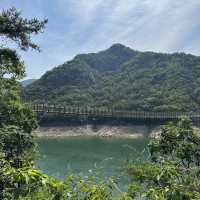 단양 여름여행 모음🌿💚