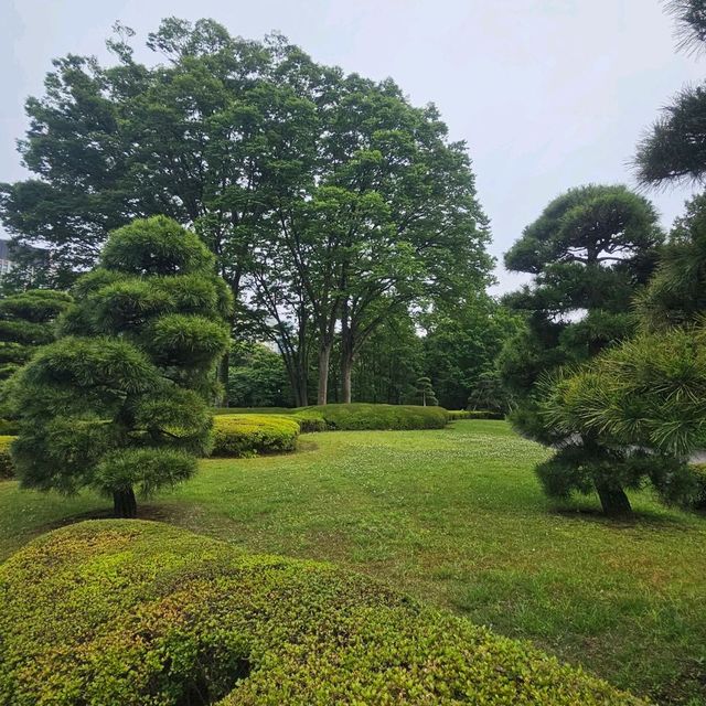 欣賞江户時代庭園風貌回遊式庭園@皇居東御苑