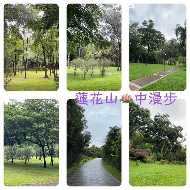 🤹🏻‍♂️蓮花山公園 | 遊山玩水🏵️