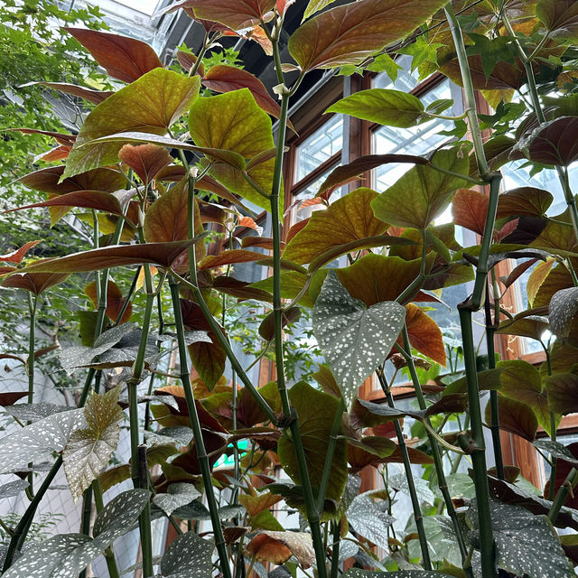 台北圓山站休閑一日遊🌿🌵適合夏日親子遊