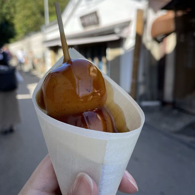 【ペットとお出かけ】古都芋本舗で大玉みたらしを食す