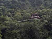🏯 長春祠：歷史的寫照，文化的寶庫 📜