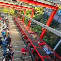 三種不同的纜車，欣賞藍山國家公園的美麗景觀🏔