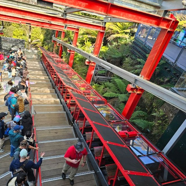 三種不同的纜車，欣賞藍山國家公園的美麗景觀🏔