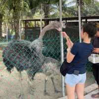 Discover New Mini Zoo in Desaru 