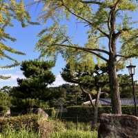 🌳 다이센 고분을 따라 숲공기를 맡으며 사색하며 산책을 해보세요!