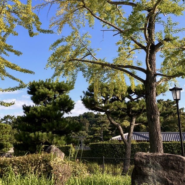 🌳 다이센 고분을 따라 숲공기를 맡으며 사색하며 산책을 해보세요!