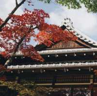 天授庵庭園～靜謐與自然🍵🌸🏯