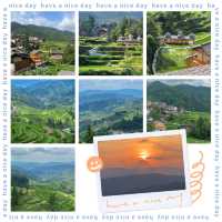 🌾🌄 洋嶺梯田～稻穗風光🏔️🌾🥾