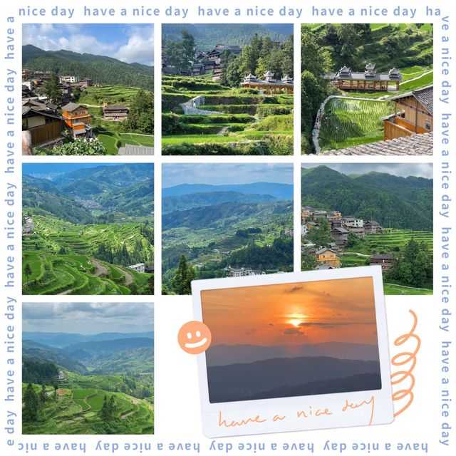 🌾🌄 洋嶺梯田～稻穗風光🏔️🌾🥾