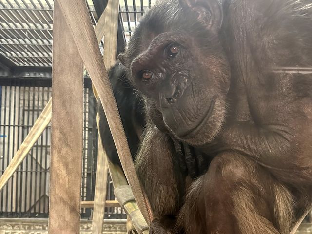 破格の600円で楽しめる動植物園！