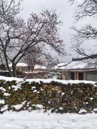 눈이와도 예쁜 마을❄️ <아산 외암민속마을> 