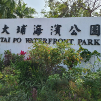 大埔海濱公園-假日遊玩勝地