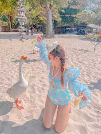 ‼️แชร์โลมา ถ่ายรูปกับน้องห่าน เจ้าหญิงแห่งหาดเทียน