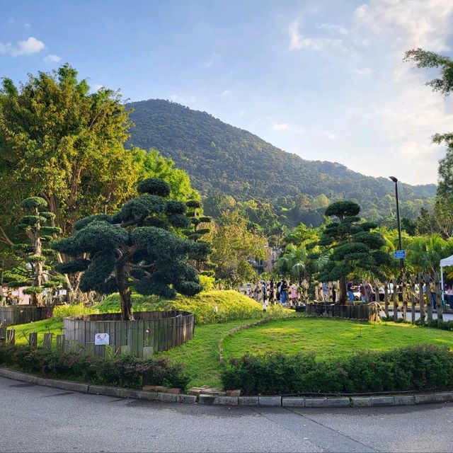 美麗的小白鷺互動中心湖畔花園