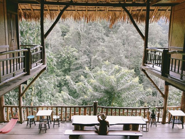 บ้านต้นไม้แม่แมะ Tree House Hideaway