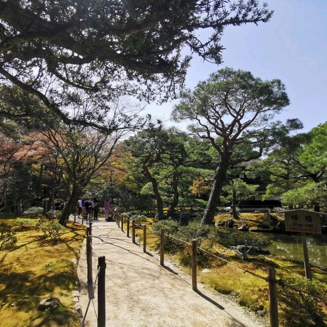 pretty Kyoto temple