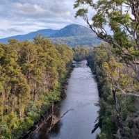 Enjoying Tassie