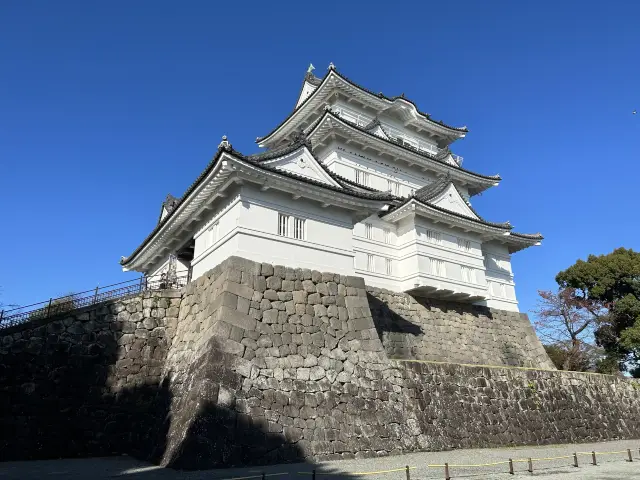 【神奈川】天下の名城！小田原城🏯をご紹介