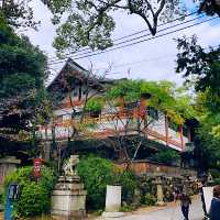 宇治抹茶一條街