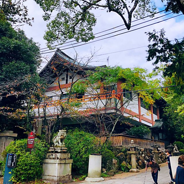 宇治抹茶一條街