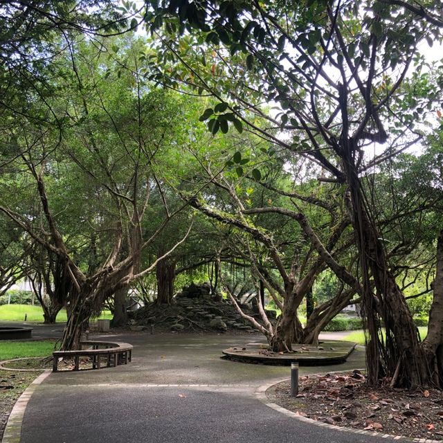 宜蘭大學
