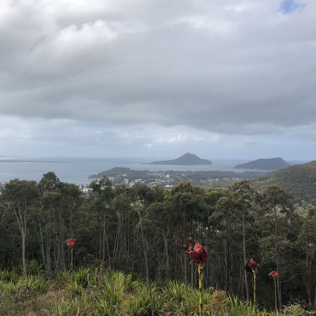 Gan Gan Lookout