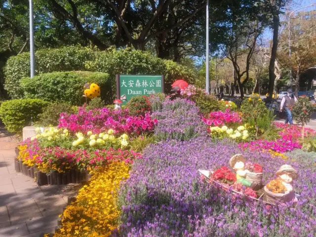 大安森林公園🌳