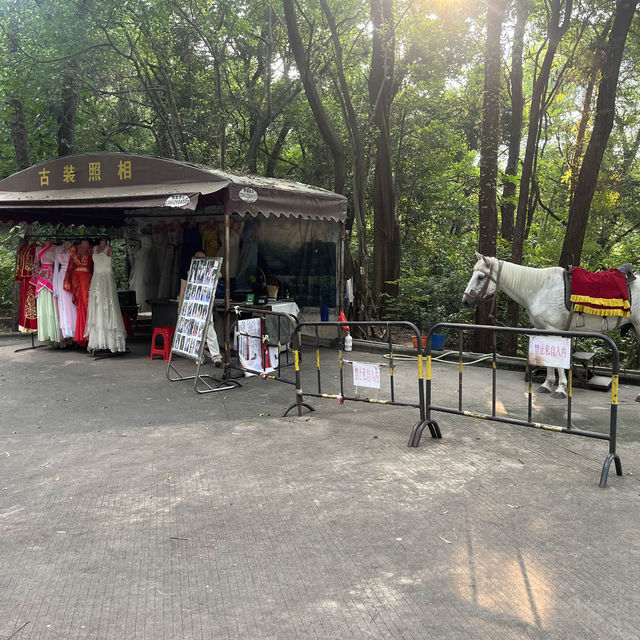 東莞🌿榴花公園🌳（榴花塔🏯）一日遊🧳
