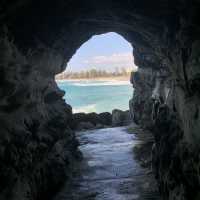Hidden Gem in Manly 