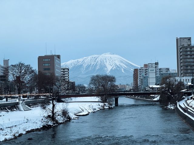 Daiwa Roynet Hotel Morioka Ekimae盛岡站前大和魯內酒店