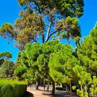 GREEN OASIS IN MADRID!