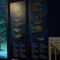 大邱の新世界デパートに水族館！？