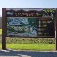 핑크뮬리 구경하세요.