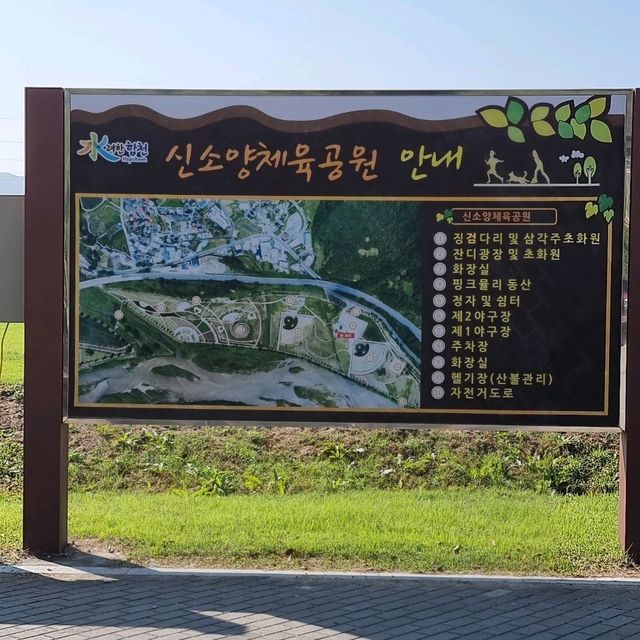 핑크뮬리 구경하세요.