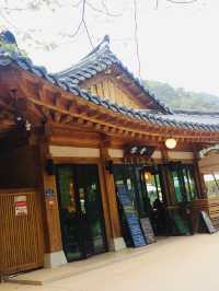 [Tradition Korean Culture]⭐️National Park⭐️