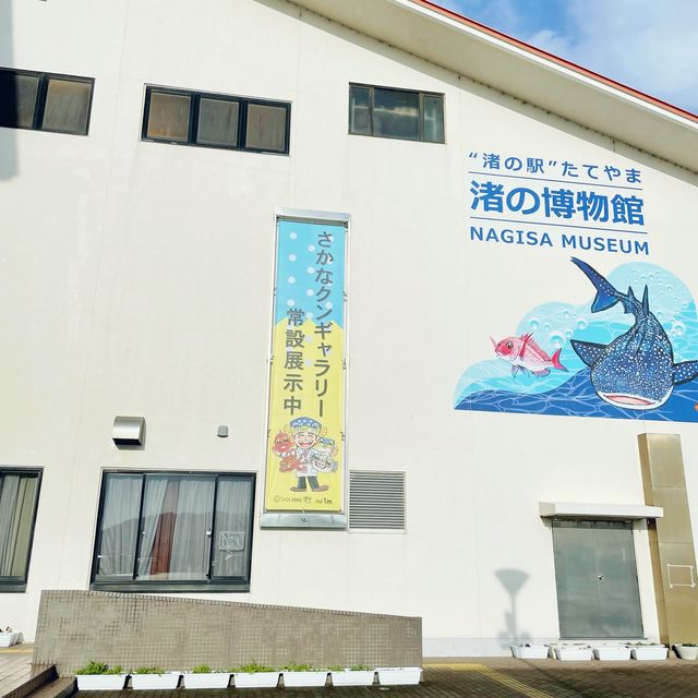 【千葉県】房総半島ドライブの立ち寄りにおすすめ！渚の駅たてやま