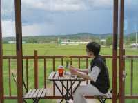 DaraDao Cafe  ร้านกาแฟกลางทุ่งนา