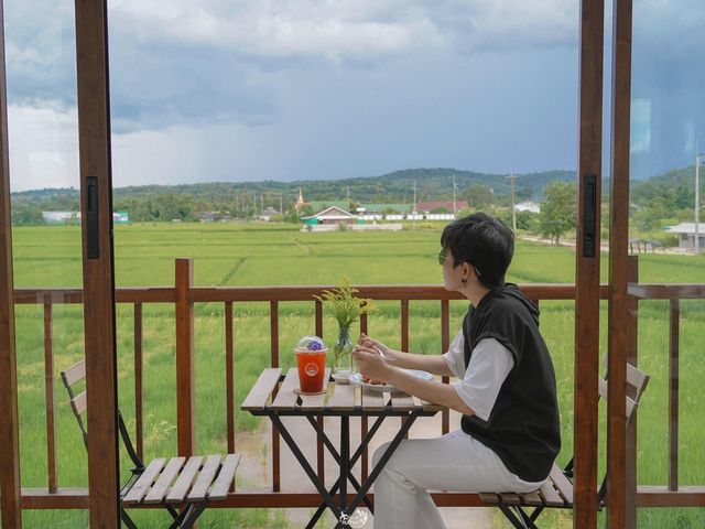 DaraDao Cafe  ร้านกาแฟกลางทุ่งนา