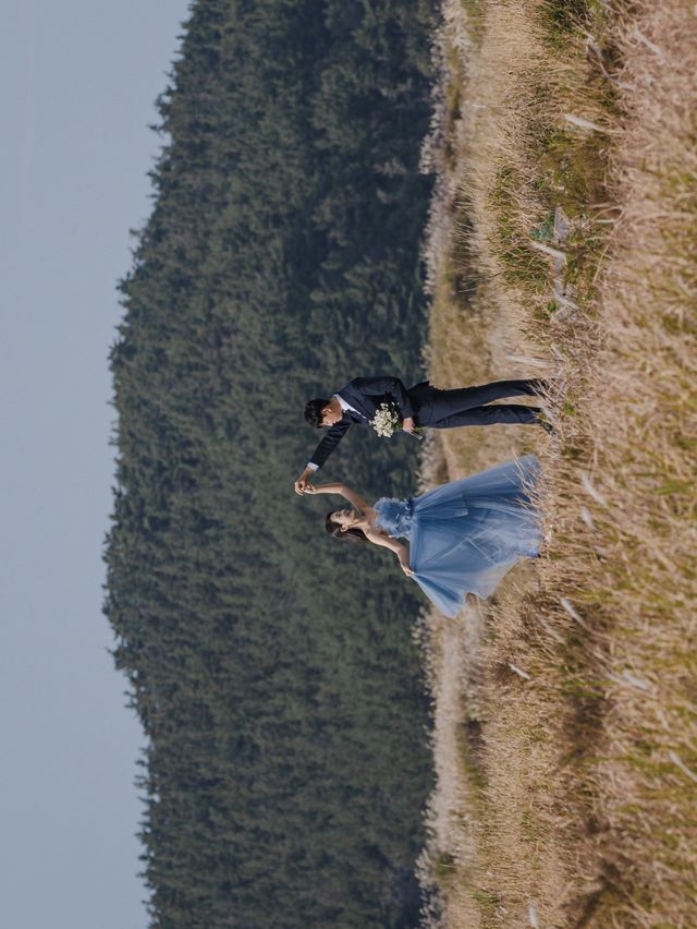 서해바다와 억새밭을 동시에 볼 수 있는 가을여행지, 신두리해안사구