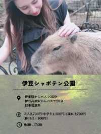 【伊豆】日帰りでも行けちゃう！動物といっぱい触れ合えちゃう動物園🐱🤍