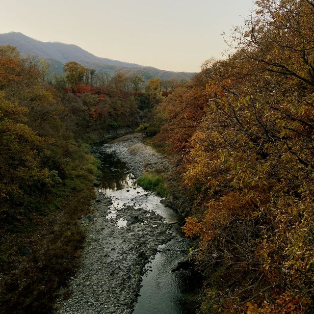 고즈넉하게 늦가을 즐기기 딱 좋은 곳 