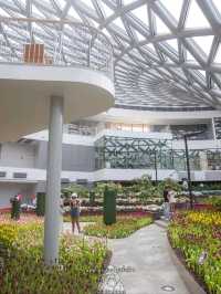 Miracle of Natural..ดอกทิวลิปบานที่ระยอง