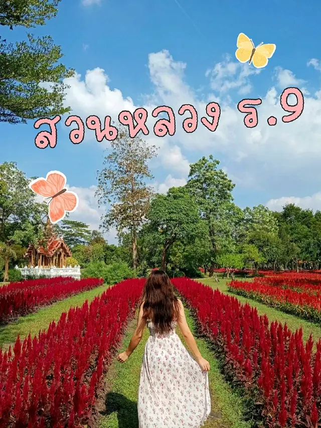 หนึ่งวันที่สวนหลวง ร.9 