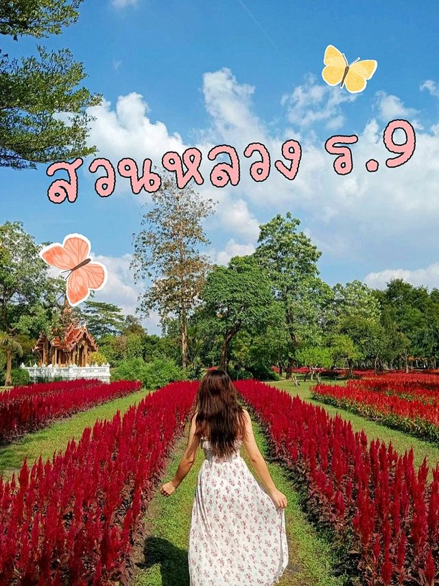 หนึ่งวันที่สวนหลวง ร.9 